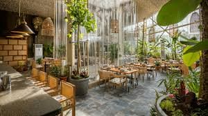 Restaurant ambiance